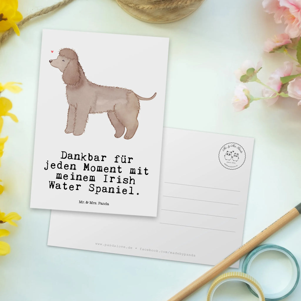 Postkarte Irish Water Spaniel Moment Postkarte, Karte, Geschenkkarte, Grußkarte, Einladung, Ansichtskarte, Geburtstagskarte, Einladungskarte, Dankeskarte, Ansichtskarten, Einladung Geburtstag, Einladungskarten Geburtstag, Hund, Hunderasse, Rassehund, Hundebesitzer, Geschenk, Tierfreund, Schenken, Welpe, Irish Water Spaniel, Jagdhund