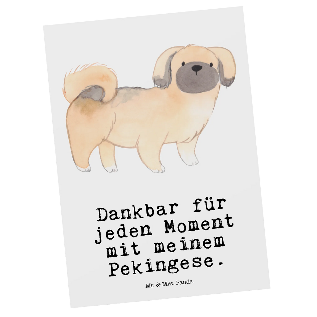 Postkarte Pekingese Moment Postkarte, Karte, Geschenkkarte, Grußkarte, Einladung, Ansichtskarte, Geburtstagskarte, Einladungskarte, Dankeskarte, Ansichtskarten, Einladung Geburtstag, Einladungskarten Geburtstag, Hund, Hunderasse, Rassehund, Hundebesitzer, Geschenk, Tierfreund, Schenken, Welpe, Pekingese, Pekinese, Peking-Palasthund