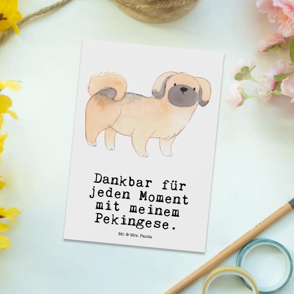 Postkarte Pekingese Moment Postkarte, Karte, Geschenkkarte, Grußkarte, Einladung, Ansichtskarte, Geburtstagskarte, Einladungskarte, Dankeskarte, Ansichtskarten, Einladung Geburtstag, Einladungskarten Geburtstag, Hund, Hunderasse, Rassehund, Hundebesitzer, Geschenk, Tierfreund, Schenken, Welpe, Pekingese, Pekinese, Peking-Palasthund