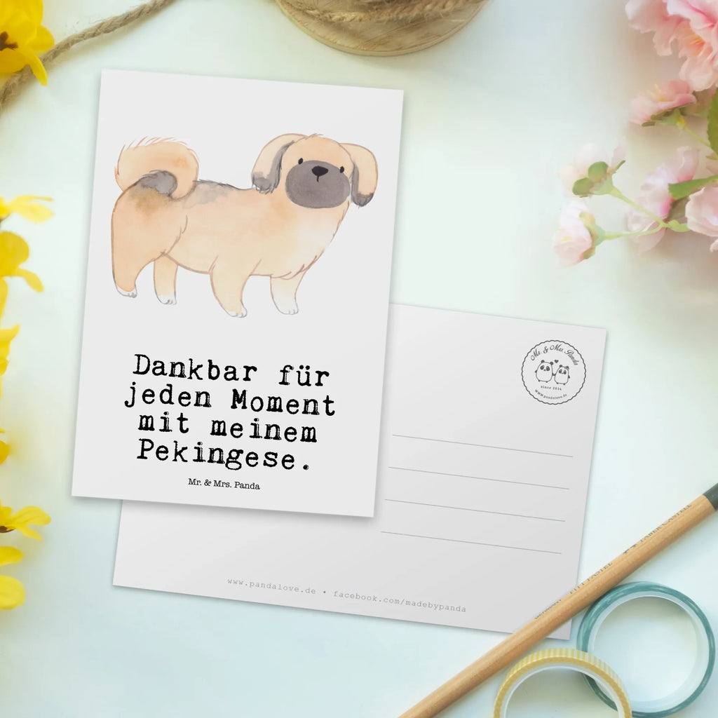 Postkarte Pekingese Moment Postkarte, Karte, Geschenkkarte, Grußkarte, Einladung, Ansichtskarte, Geburtstagskarte, Einladungskarte, Dankeskarte, Ansichtskarten, Einladung Geburtstag, Einladungskarten Geburtstag, Hund, Hunderasse, Rassehund, Hundebesitzer, Geschenk, Tierfreund, Schenken, Welpe, Pekingese, Pekinese, Peking-Palasthund