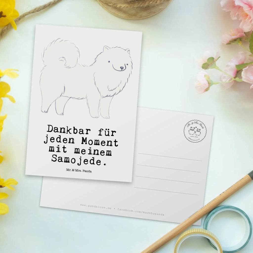 Postkarte Samojede Moment Postkarte, Karte, Geschenkkarte, Grußkarte, Einladung, Ansichtskarte, Geburtstagskarte, Einladungskarte, Dankeskarte, Ansichtskarten, Einladung Geburtstag, Einladungskarten Geburtstag, Hund, Hunderasse, Rassehund, Hundebesitzer, Geschenk, Tierfreund, Schenken, Welpe, Samojede, Samojedenhund, Samojedenspitz