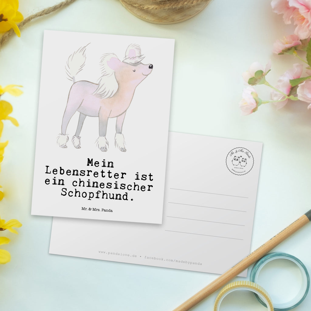 Postkarte Chinesischer Schopfhund Lebensretter Postkarte, Karte, Geschenkkarte, Grußkarte, Einladung, Ansichtskarte, Geburtstagskarte, Einladungskarte, Dankeskarte, Ansichtskarten, Einladung Geburtstag, Einladungskarten Geburtstag, Hund, Hunderasse, Rassehund, Hundebesitzer, Geschenk, Tierfreund, Schenken, Welpe, Chinesischer Schopfhund, Chinese Crested Dog