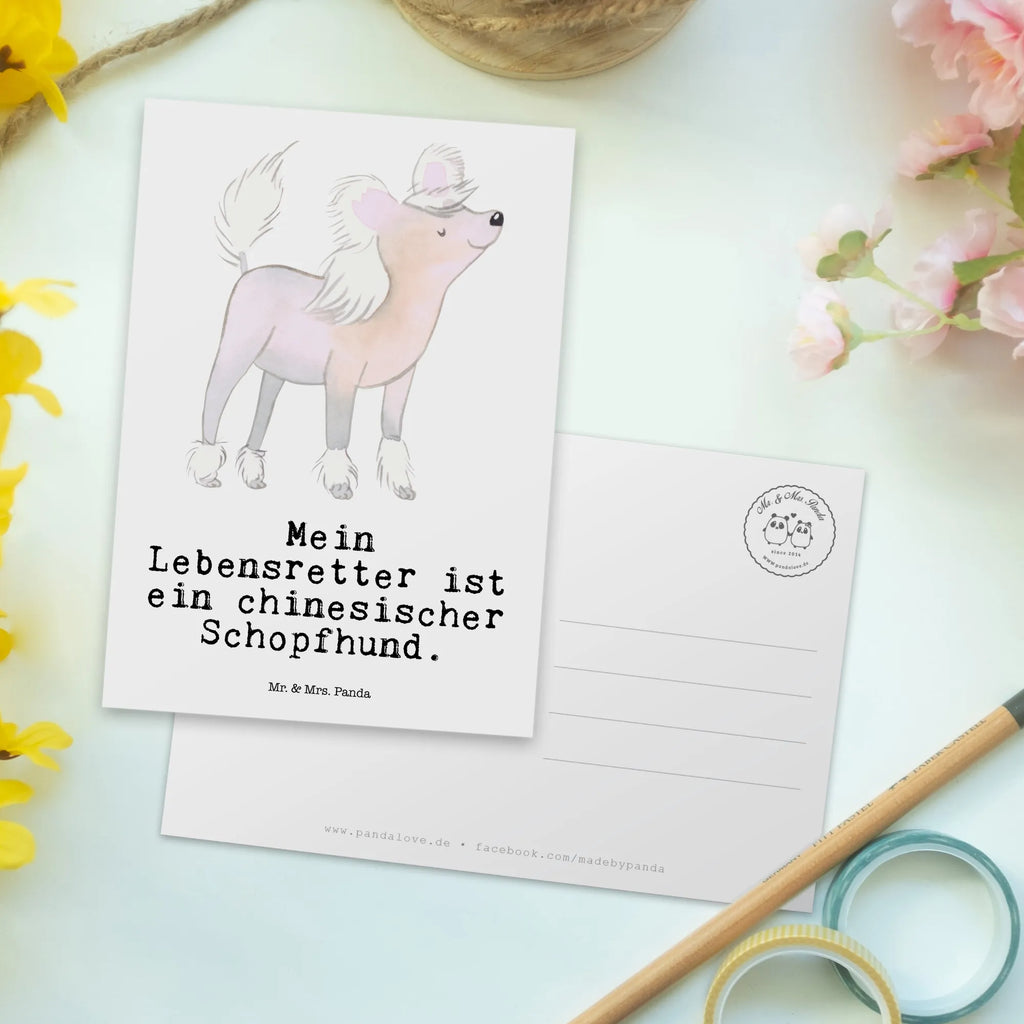 Postkarte Chinesischer Schopfhund Lebensretter Postkarte, Karte, Geschenkkarte, Grußkarte, Einladung, Ansichtskarte, Geburtstagskarte, Einladungskarte, Dankeskarte, Ansichtskarten, Einladung Geburtstag, Einladungskarten Geburtstag, Hund, Hunderasse, Rassehund, Hundebesitzer, Geschenk, Tierfreund, Schenken, Welpe, Chinesischer Schopfhund, Chinese Crested Dog