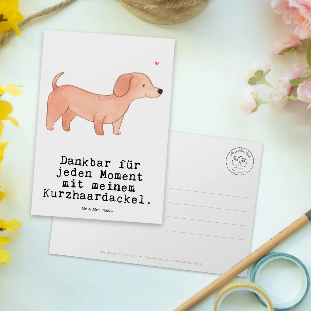 Postkarte Dackel Kurzhaardackel Moment Postkarte, Karte, Geschenkkarte, Grußkarte, Einladung, Ansichtskarte, Geburtstagskarte, Einladungskarte, Dankeskarte, Ansichtskarten, Einladung Geburtstag, Einladungskarten Geburtstag, Hund, Hunderasse, Rassehund, Hundebesitzer, Geschenk, Tierfreund, Schenken, Welpe, Teckel, Dachshund, Kurzhaardackel