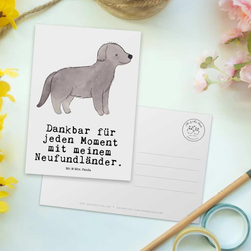 Postkarte Neufundländer Moment Postkarte, Karte, Geschenkkarte, Grußkarte, Einladung, Ansichtskarte, Geburtstagskarte, Einladungskarte, Dankeskarte, Ansichtskarten, Einladung Geburtstag, Einladungskarten Geburtstag, Hund, Hunderasse, Rassehund, Hundebesitzer, Geschenk, Tierfreund, Schenken, Welpe, Neufundländer, Newfoundland