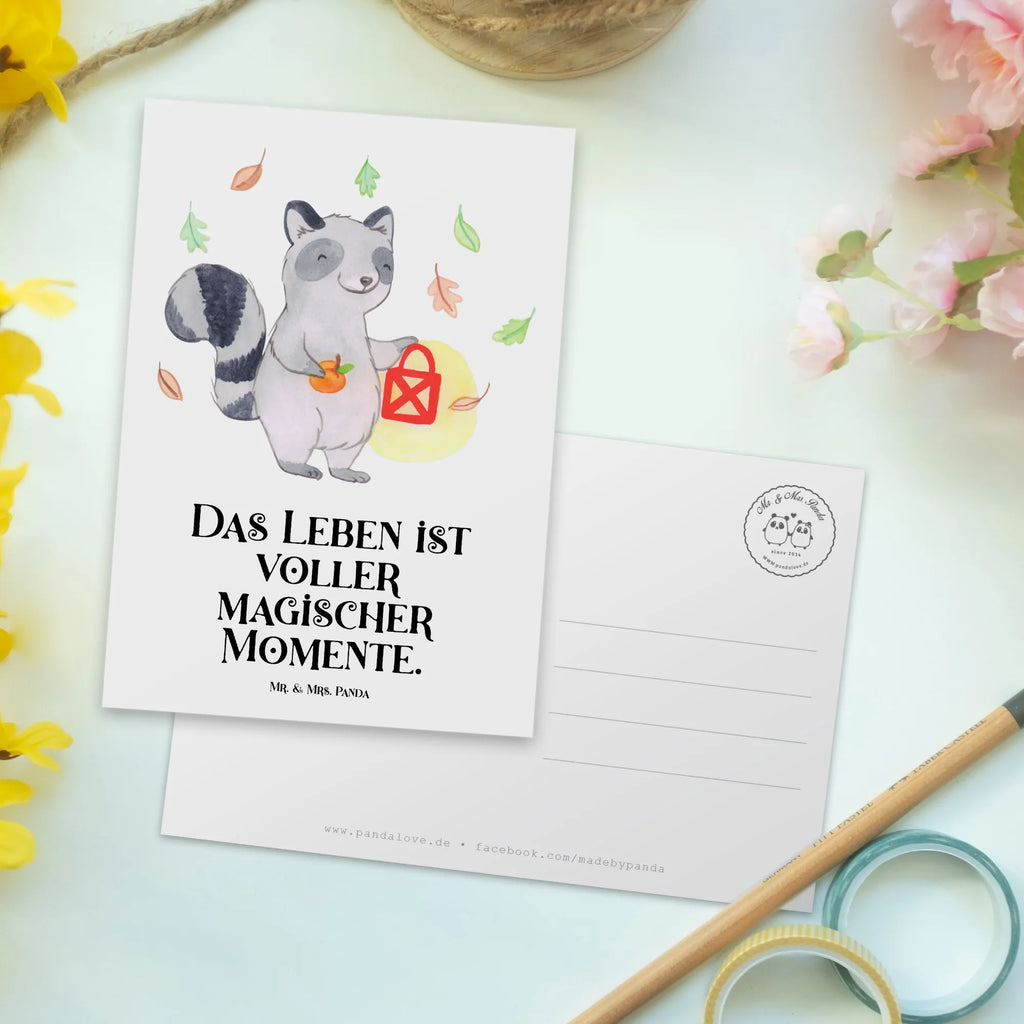 Postkarte Waschbär Laterne Postkarte, Karte, Geschenkkarte, Grußkarte, Einladung, Ansichtskarte, Geburtstagskarte, Einladungskarte, Dankeskarte, Ansichtskarten, Einladung Geburtstag, Einladungskarten Geburtstag, Halloween, Deko, Martinssingen, Dekoration, Geschenke, Schenken, Halloween Deko, Trick or Treat, Süßes sonst gibt's saures, Waschbär, Laterne, Herbst