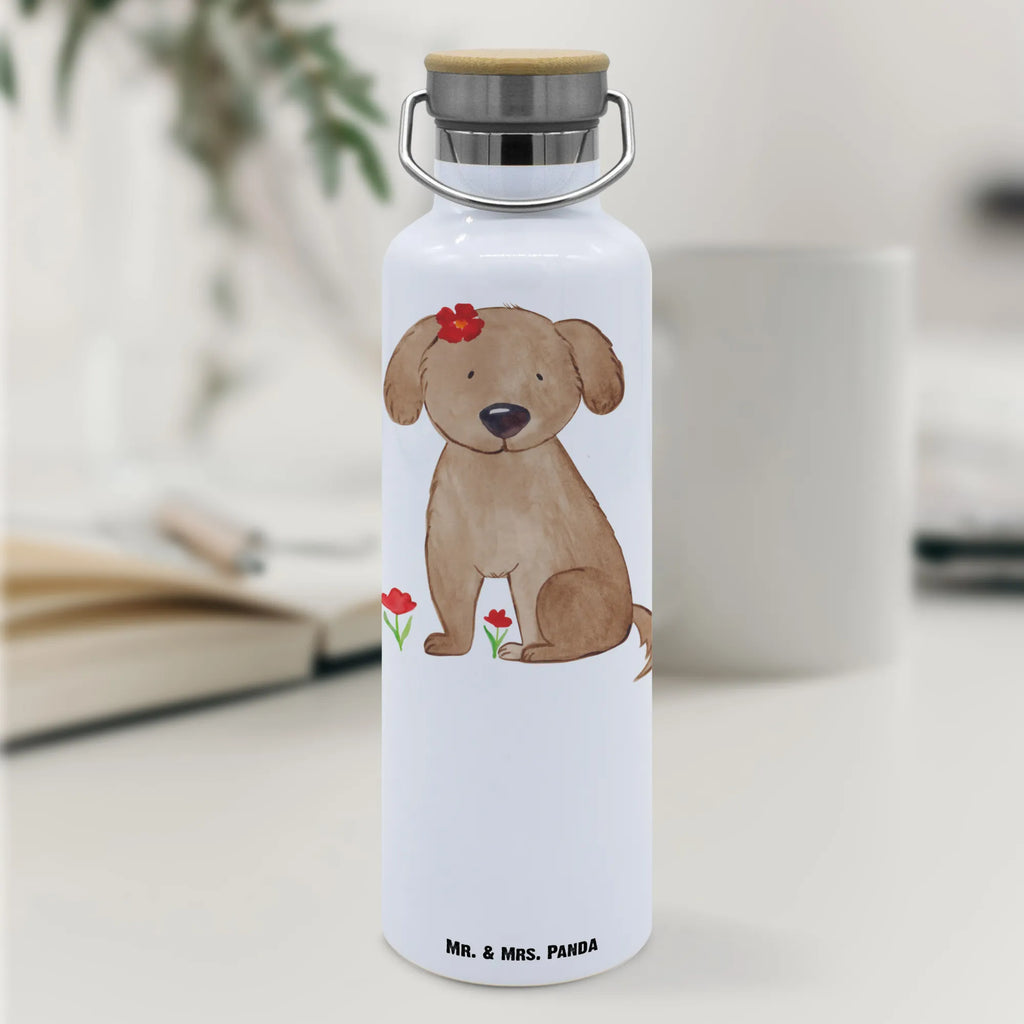 Trinkflasche Hund Dame Thermosflasche, Isolierflasche, Edelstahl, Trinkflasche, isoliert, Wamrhaltefunktion, Sportflasche, Flasche zum Sport, Sportlerflasche, Hund, Hundemotiv, Haustier, Hunderasse, Tierliebhaber, Hundebesitzer, Sprüche, Hunde, Hundeliebe, Hundeglück, Liebe, Frauchen