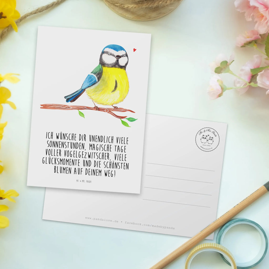 Postkarte Vogel Blaumeise Postkarte, Karte, Geschenkkarte, Grußkarte, Einladung, Ansichtskarte, Geburtstagskarte, Einladungskarte, Dankeskarte, Ansichtskarten, Einladung Geburtstag, Einladungskarten Geburtstag, Ostern, Osterhase, Ostergeschenke, Osternest, Osterdeko, Geschenke zu Ostern, Ostern Geschenk, Ostergeschenke Kinder, Ostern Kinder, Ostergrüße, Blaumeise, Vogel, liebe Grüße, Frühling, Frühlingsgefühle, Osterzeit