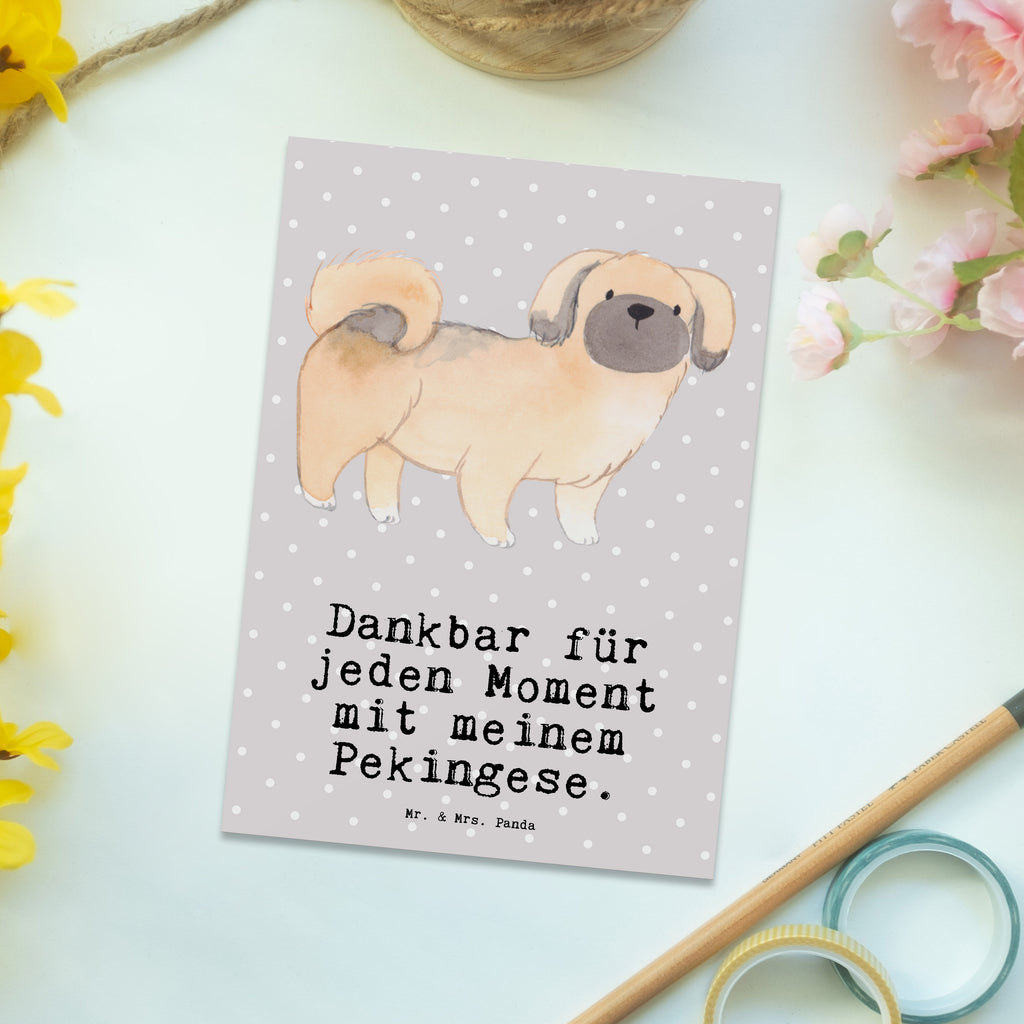 Postkarte Pekingese Moment Postkarte, Karte, Geschenkkarte, Grußkarte, Einladung, Ansichtskarte, Geburtstagskarte, Einladungskarte, Dankeskarte, Ansichtskarten, Einladung Geburtstag, Einladungskarten Geburtstag, Hund, Hunderasse, Rassehund, Hundebesitzer, Geschenk, Tierfreund, Schenken, Welpe, Pekingese, Pekinese, Peking-Palasthund