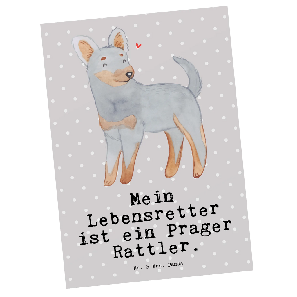 Postkarte Prager Rattler Lebensretter Postkarte, Karte, Geschenkkarte, Grußkarte, Einladung, Ansichtskarte, Geburtstagskarte, Einladungskarte, Dankeskarte, Ansichtskarten, Einladung Geburtstag, Einladungskarten Geburtstag, Hund, Hunderasse, Rassehund, Hundebesitzer, Geschenk, Tierfreund, Schenken, Welpe, Pincher, Prager Rattler