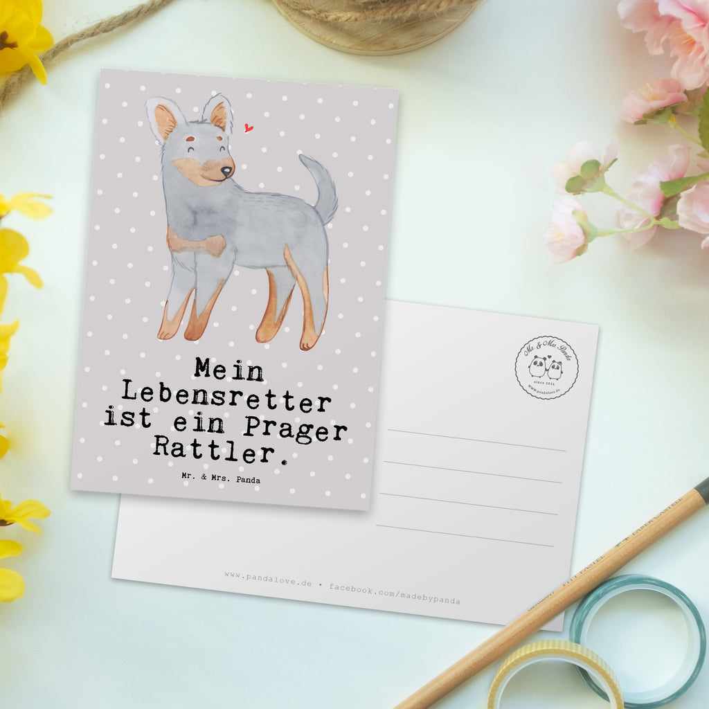 Postkarte Prager Rattler Lebensretter Postkarte, Karte, Geschenkkarte, Grußkarte, Einladung, Ansichtskarte, Geburtstagskarte, Einladungskarte, Dankeskarte, Ansichtskarten, Einladung Geburtstag, Einladungskarten Geburtstag, Hund, Hunderasse, Rassehund, Hundebesitzer, Geschenk, Tierfreund, Schenken, Welpe, Pincher, Prager Rattler