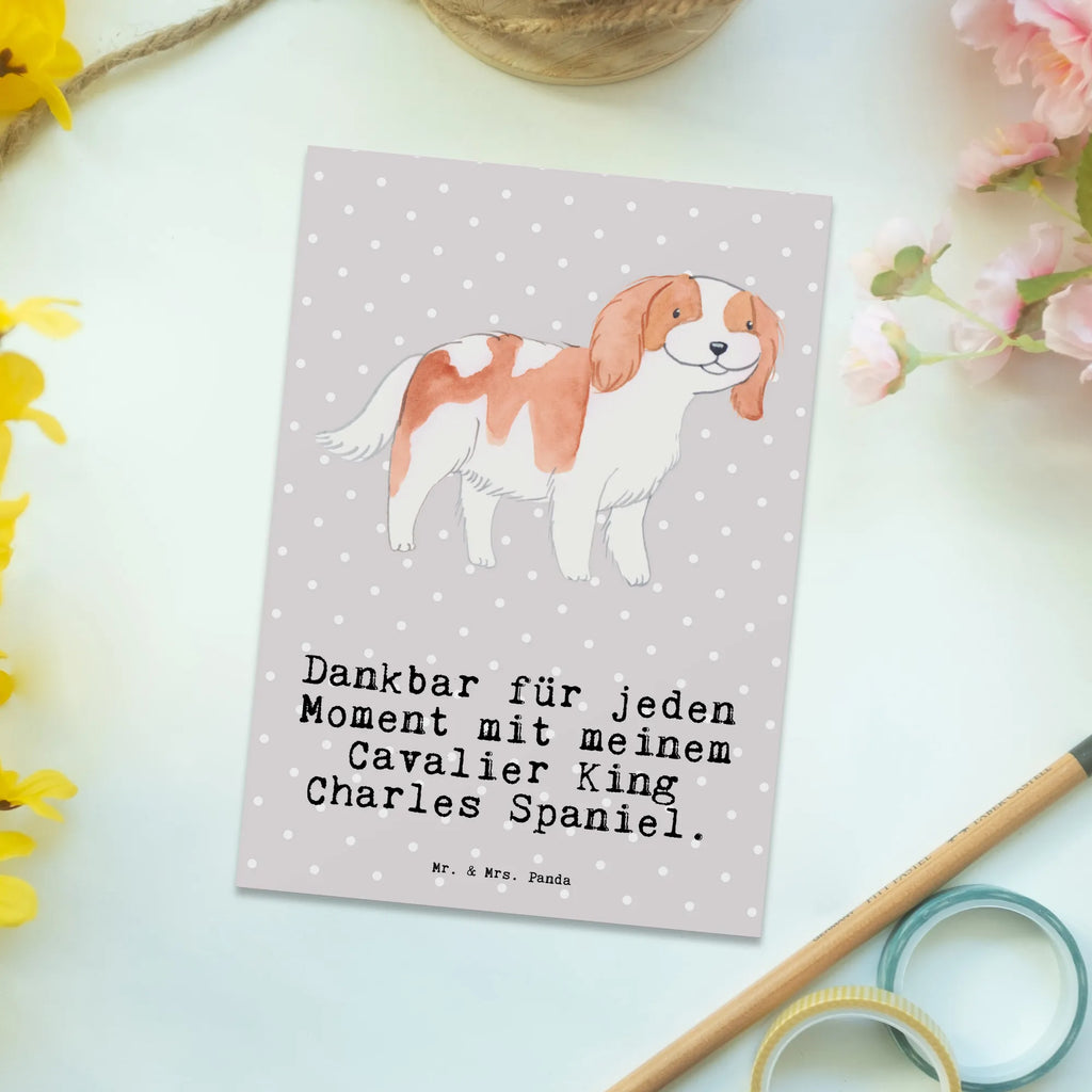 Postkarte Cavalier King Charles Spaniel Moment Postkarte, Karte, Geschenkkarte, Grußkarte, Einladung, Ansichtskarte, Geburtstagskarte, Einladungskarte, Dankeskarte, Ansichtskarten, Einladung Geburtstag, Einladungskarten Geburtstag, Hund, Hunderasse, Rassehund, Hundebesitzer, Geschenk, Tierfreund, Schenken, Welpe, Cavalier King Charles Spaniel