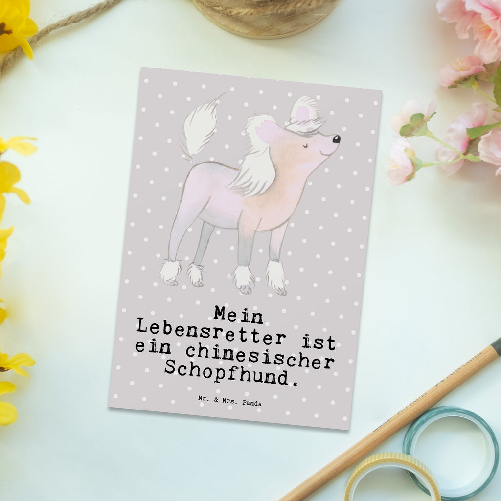 Postkarte Chinesischer Schopfhund Lebensretter Postkarte, Karte, Geschenkkarte, Grußkarte, Einladung, Ansichtskarte, Geburtstagskarte, Einladungskarte, Dankeskarte, Ansichtskarten, Einladung Geburtstag, Einladungskarten Geburtstag, Hund, Hunderasse, Rassehund, Hundebesitzer, Geschenk, Tierfreund, Schenken, Welpe, Chinesischer Schopfhund, Chinese Crested Dog