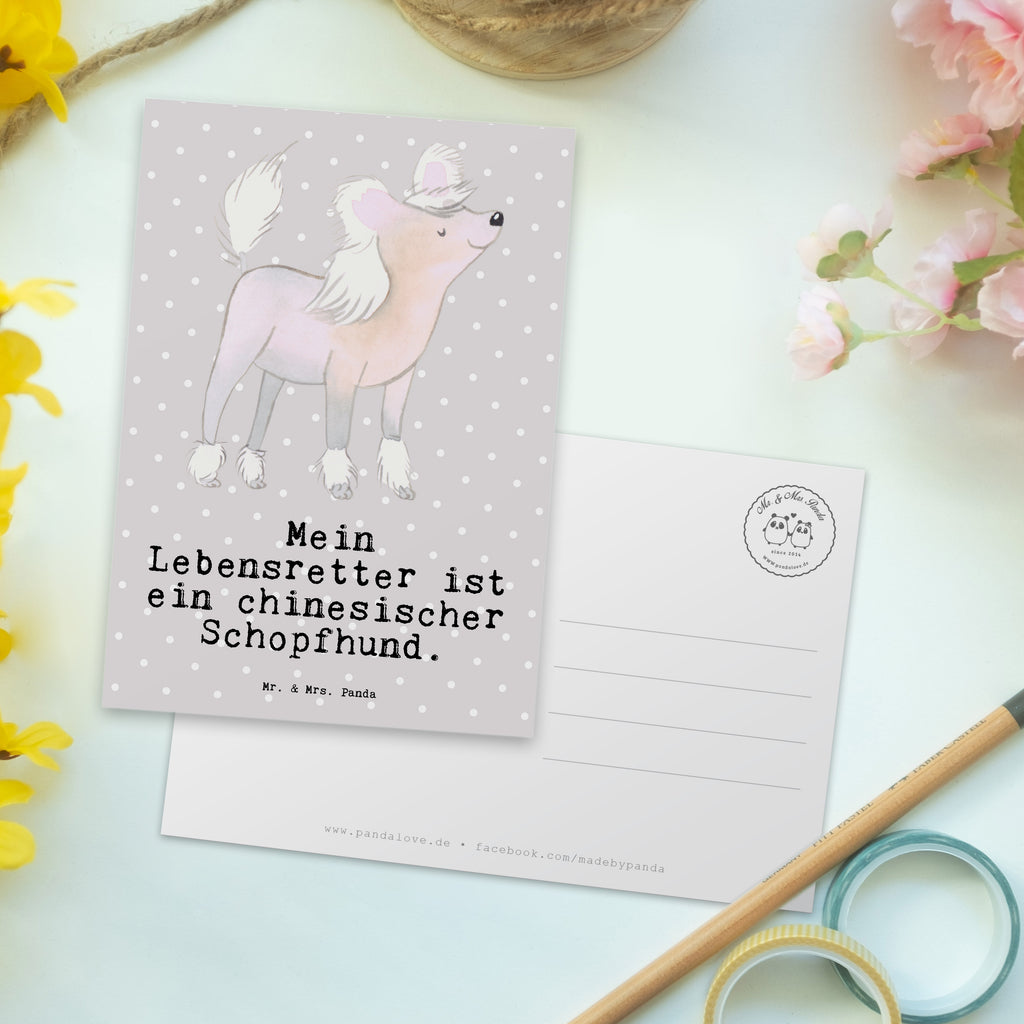 Postkarte Chinesischer Schopfhund Lebensretter Postkarte, Karte, Geschenkkarte, Grußkarte, Einladung, Ansichtskarte, Geburtstagskarte, Einladungskarte, Dankeskarte, Ansichtskarten, Einladung Geburtstag, Einladungskarten Geburtstag, Hund, Hunderasse, Rassehund, Hundebesitzer, Geschenk, Tierfreund, Schenken, Welpe, Chinesischer Schopfhund, Chinese Crested Dog