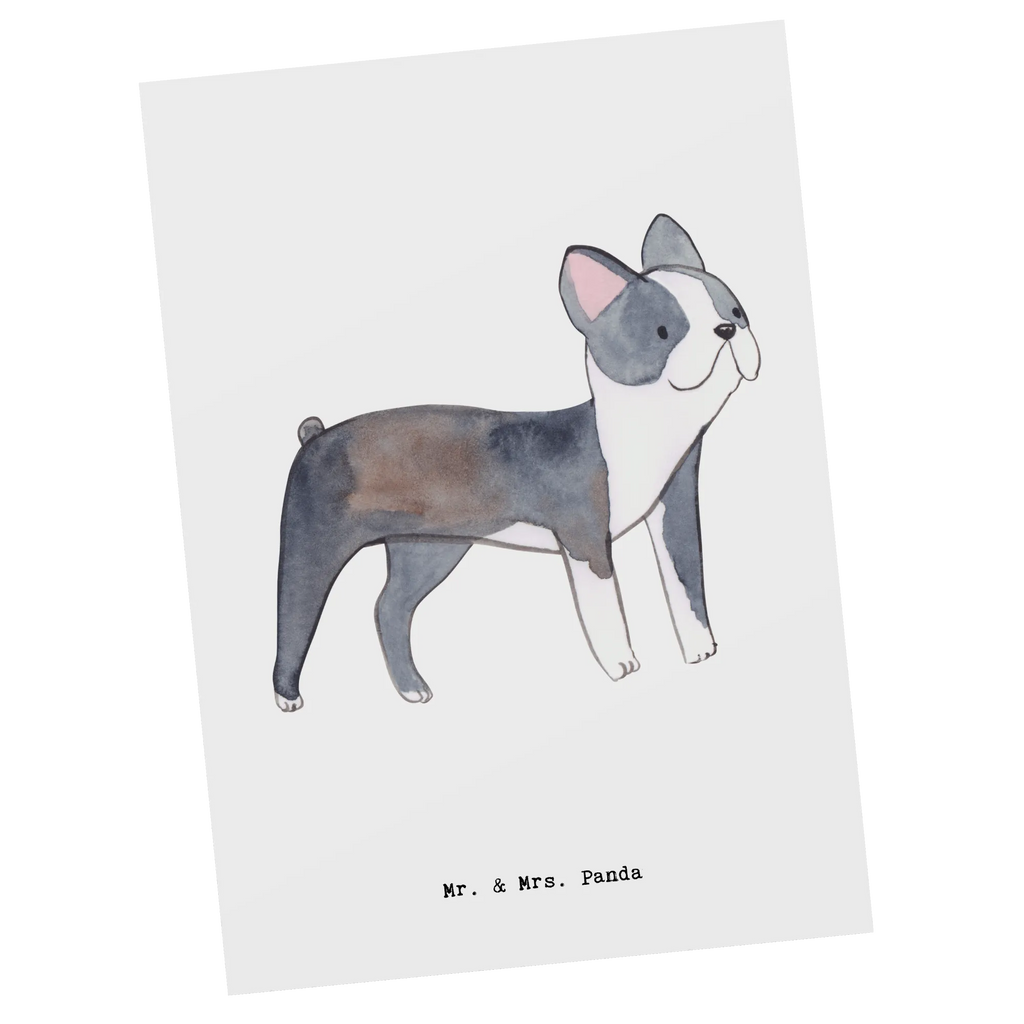 Postkarte Boston Terrier Lebensretter Postkarte, Karte, Geschenkkarte, Grußkarte, Einladung, Ansichtskarte, Geburtstagskarte, Einladungskarte, Dankeskarte, Ansichtskarten, Einladung Geburtstag, Einladungskarten Geburtstag, Hund, Hunderasse, Rassehund, Hundebesitzer, Geschenk, Tierfreund, Schenken, Welpe, Boston Terrier