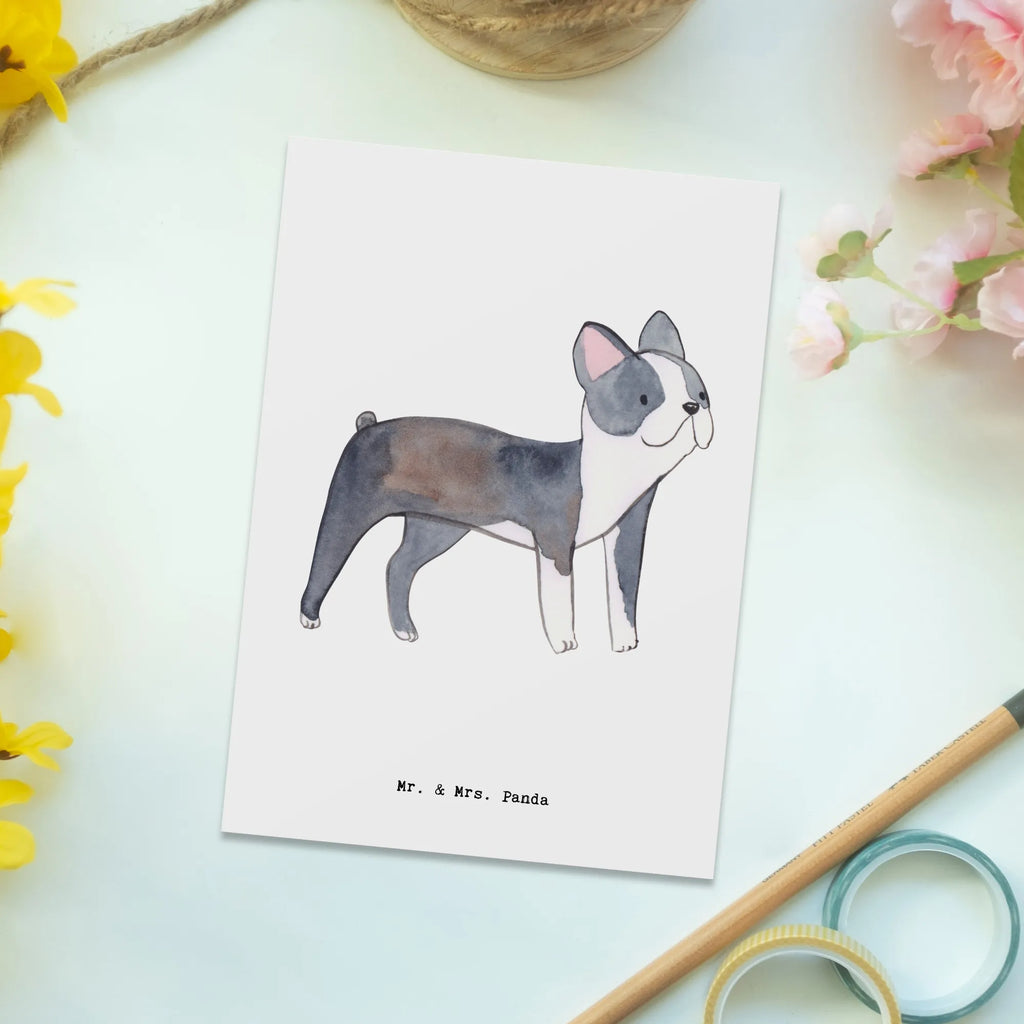 Postkarte Boston Terrier Lebensretter Postkarte, Karte, Geschenkkarte, Grußkarte, Einladung, Ansichtskarte, Geburtstagskarte, Einladungskarte, Dankeskarte, Ansichtskarten, Einladung Geburtstag, Einladungskarten Geburtstag, Hund, Hunderasse, Rassehund, Hundebesitzer, Geschenk, Tierfreund, Schenken, Welpe, Boston Terrier