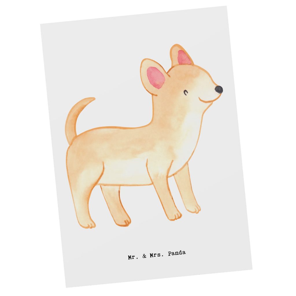 Postkarte Chihuahua Lebensretter Postkarte, Karte, Geschenkkarte, Grußkarte, Einladung, Ansichtskarte, Geburtstagskarte, Einladungskarte, Dankeskarte, Ansichtskarten, Einladung Geburtstag, Einladungskarten Geburtstag, Hund, Hunderasse, Rassehund, Hundebesitzer, Geschenk, Tierfreund, Schenken, Welpe, Chihuahua