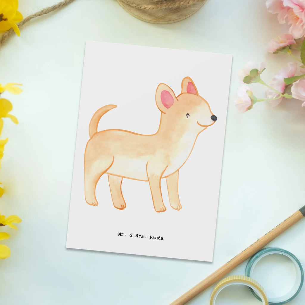 Postkarte Chihuahua Lebensretter Postkarte, Karte, Geschenkkarte, Grußkarte, Einladung, Ansichtskarte, Geburtstagskarte, Einladungskarte, Dankeskarte, Ansichtskarten, Einladung Geburtstag, Einladungskarten Geburtstag, Hund, Hunderasse, Rassehund, Hundebesitzer, Geschenk, Tierfreund, Schenken, Welpe, Chihuahua