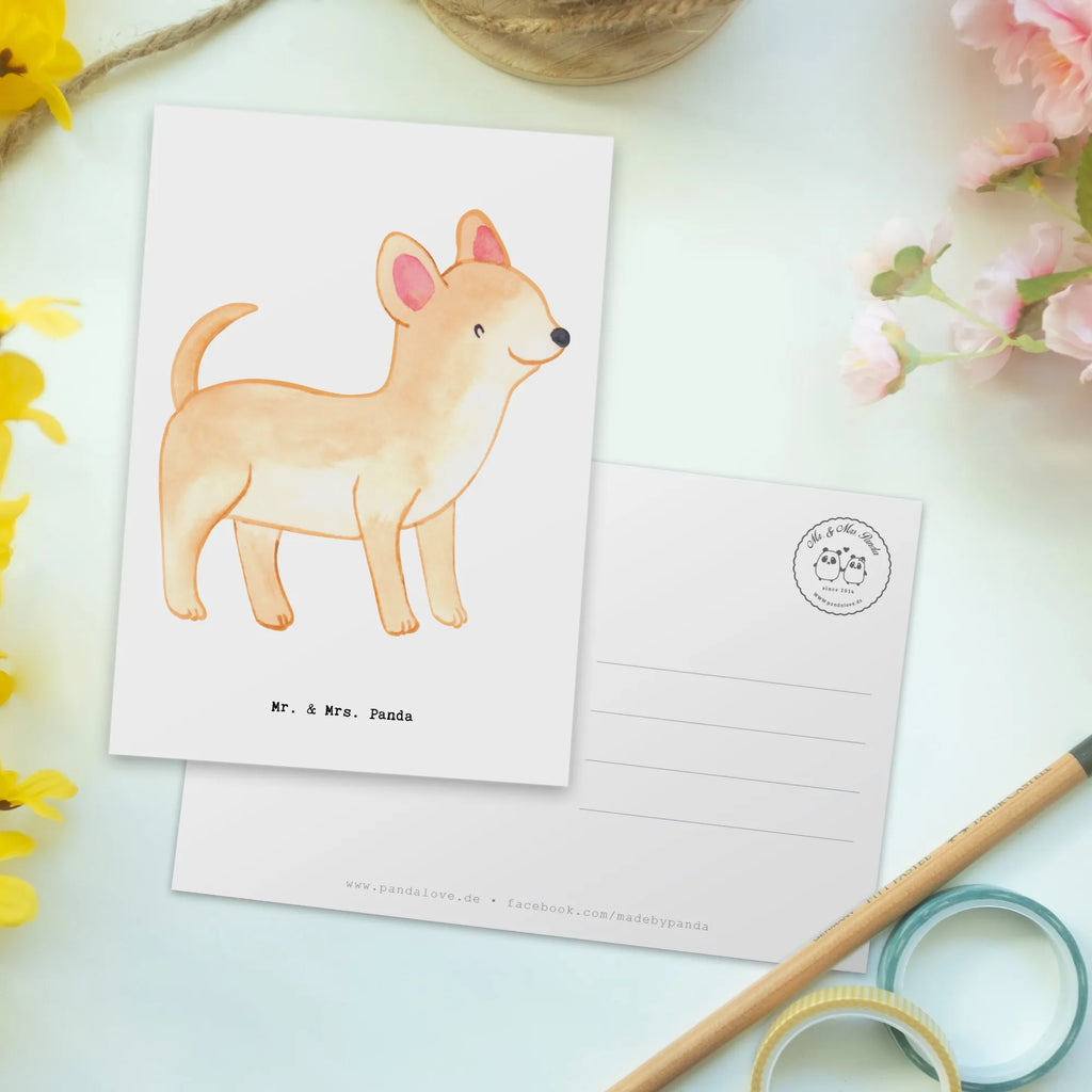 Postkarte Chihuahua Lebensretter Postkarte, Karte, Geschenkkarte, Grußkarte, Einladung, Ansichtskarte, Geburtstagskarte, Einladungskarte, Dankeskarte, Ansichtskarten, Einladung Geburtstag, Einladungskarten Geburtstag, Hund, Hunderasse, Rassehund, Hundebesitzer, Geschenk, Tierfreund, Schenken, Welpe, Chihuahua