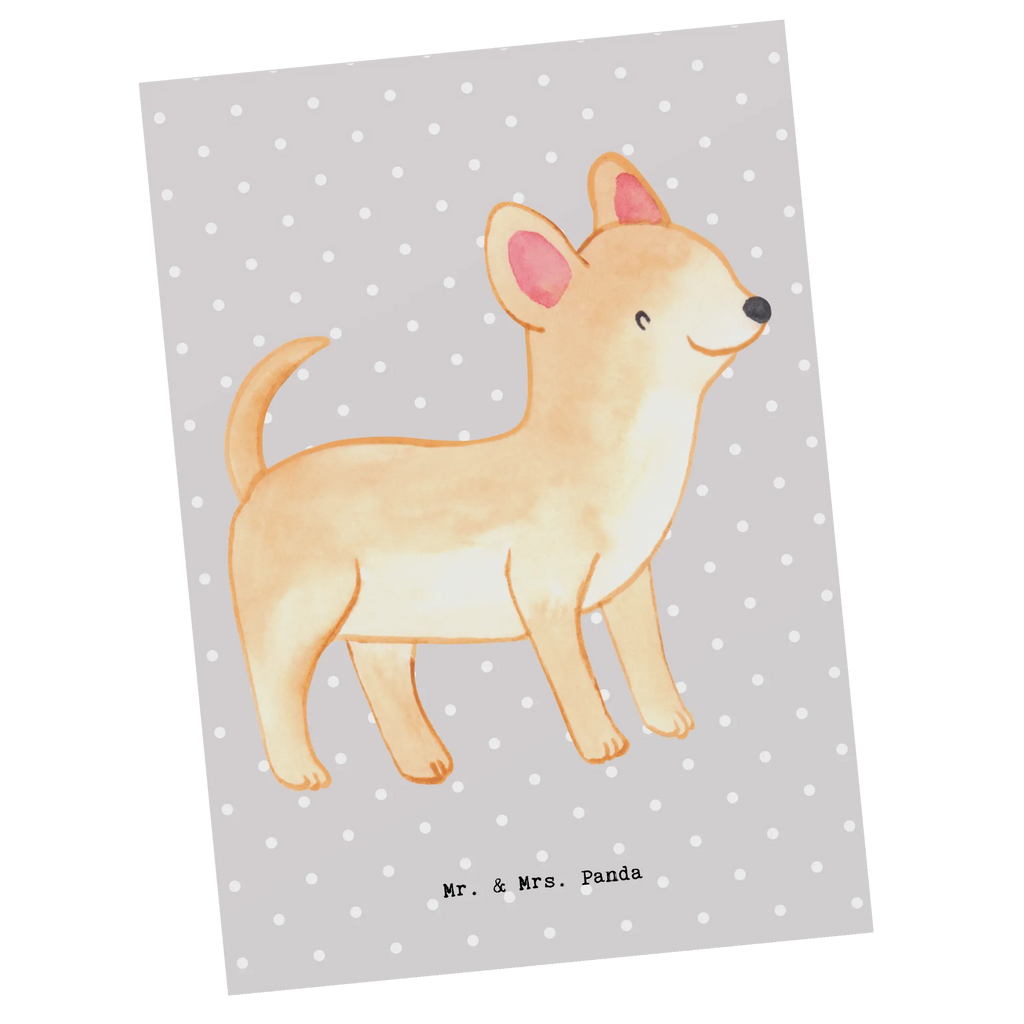 Postkarte Chihuahua Lebensretter Postkarte, Karte, Geschenkkarte, Grußkarte, Einladung, Ansichtskarte, Geburtstagskarte, Einladungskarte, Dankeskarte, Ansichtskarten, Einladung Geburtstag, Einladungskarten Geburtstag, Hund, Hunderasse, Rassehund, Hundebesitzer, Geschenk, Tierfreund, Schenken, Welpe, Chihuahua