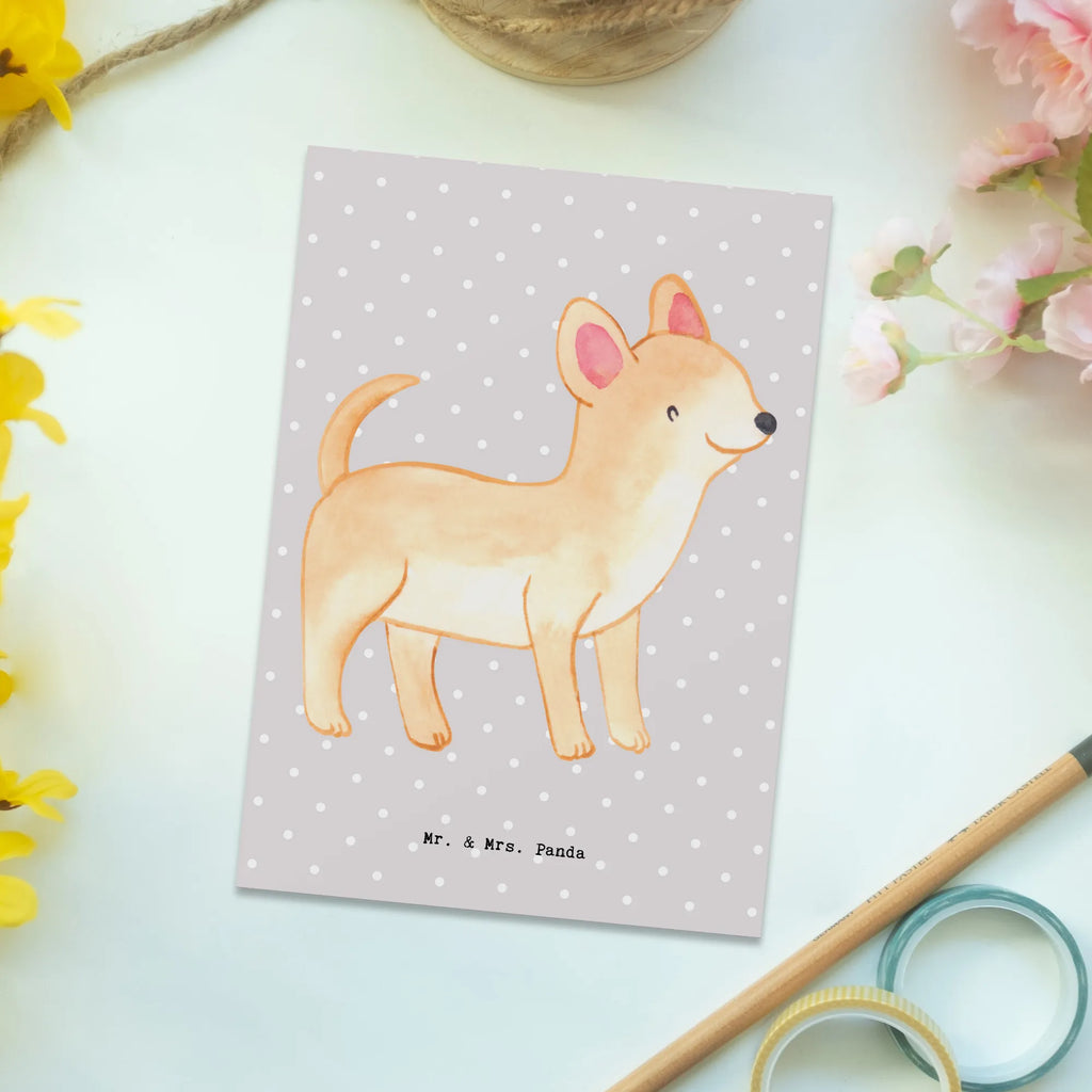 Postkarte Chihuahua Lebensretter Postkarte, Karte, Geschenkkarte, Grußkarte, Einladung, Ansichtskarte, Geburtstagskarte, Einladungskarte, Dankeskarte, Ansichtskarten, Einladung Geburtstag, Einladungskarten Geburtstag, Hund, Hunderasse, Rassehund, Hundebesitzer, Geschenk, Tierfreund, Schenken, Welpe, Chihuahua