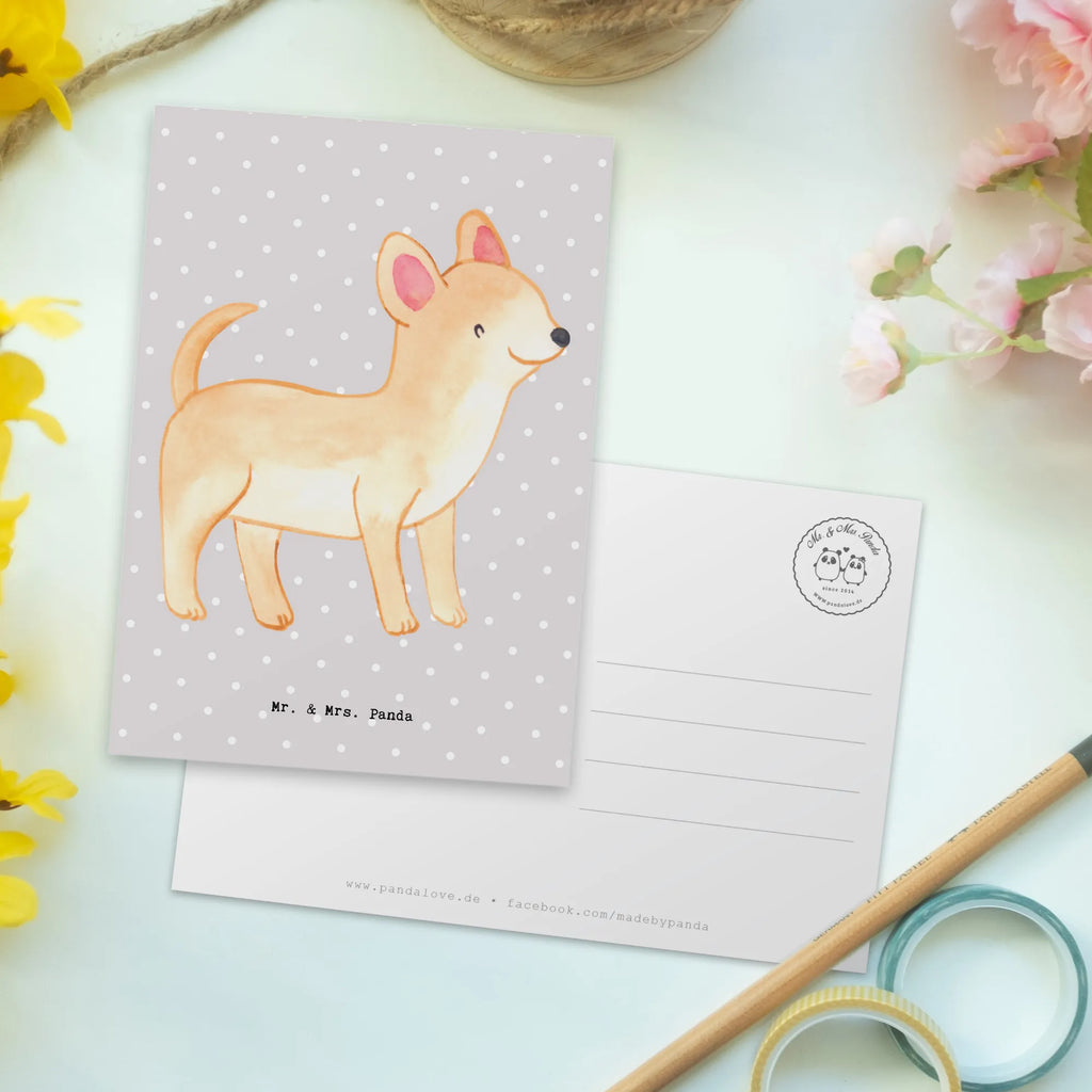 Postkarte Chihuahua Lebensretter Postkarte, Karte, Geschenkkarte, Grußkarte, Einladung, Ansichtskarte, Geburtstagskarte, Einladungskarte, Dankeskarte, Ansichtskarten, Einladung Geburtstag, Einladungskarten Geburtstag, Hund, Hunderasse, Rassehund, Hundebesitzer, Geschenk, Tierfreund, Schenken, Welpe, Chihuahua