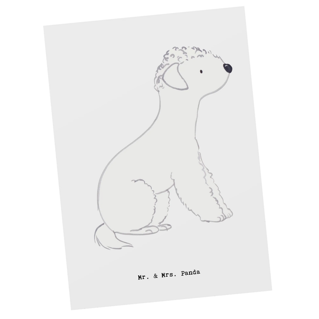 Postkarte Bedlington Terrier Lebensretter Postkarte, Karte, Geschenkkarte, Grußkarte, Einladung, Ansichtskarte, Geburtstagskarte, Einladungskarte, Dankeskarte, Ansichtskarten, Einladung Geburtstag, Einladungskarten Geburtstag, Hund, Hunderasse, Rassehund, Hundebesitzer, Geschenk, Tierfreund, Schenken, Welpe, Bedlington Terrier, Terrier