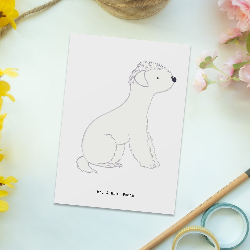 Postkarte Bedlington Terrier Lebensretter Postkarte, Karte, Geschenkkarte, Grußkarte, Einladung, Ansichtskarte, Geburtstagskarte, Einladungskarte, Dankeskarte, Ansichtskarten, Einladung Geburtstag, Einladungskarten Geburtstag, Hund, Hunderasse, Rassehund, Hundebesitzer, Geschenk, Tierfreund, Schenken, Welpe, Bedlington Terrier, Terrier