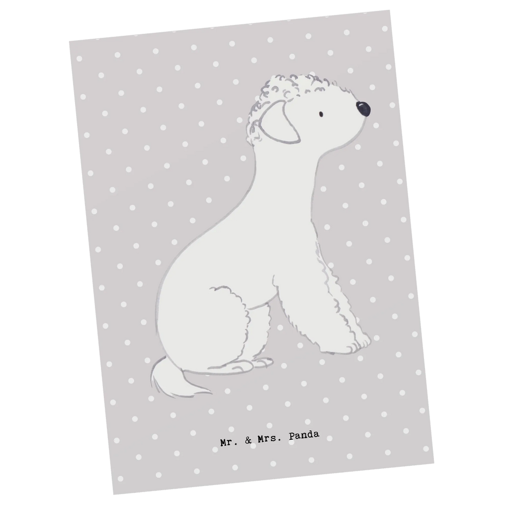 Postkarte Bedlington Terrier Lebensretter Postkarte, Karte, Geschenkkarte, Grußkarte, Einladung, Ansichtskarte, Geburtstagskarte, Einladungskarte, Dankeskarte, Ansichtskarten, Einladung Geburtstag, Einladungskarten Geburtstag, Hund, Hunderasse, Rassehund, Hundebesitzer, Geschenk, Tierfreund, Schenken, Welpe, Bedlington Terrier, Terrier