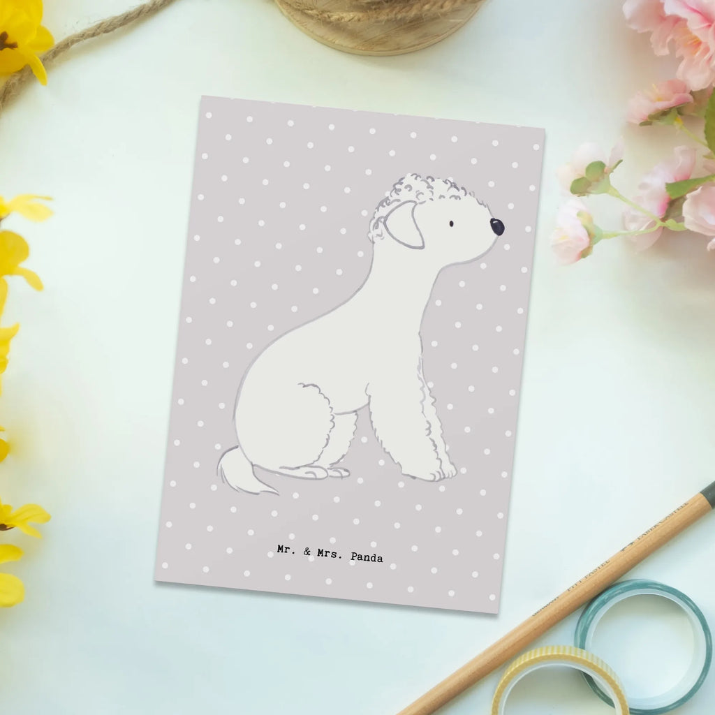 Postkarte Bedlington Terrier Lebensretter Postkarte, Karte, Geschenkkarte, Grußkarte, Einladung, Ansichtskarte, Geburtstagskarte, Einladungskarte, Dankeskarte, Ansichtskarten, Einladung Geburtstag, Einladungskarten Geburtstag, Hund, Hunderasse, Rassehund, Hundebesitzer, Geschenk, Tierfreund, Schenken, Welpe, Bedlington Terrier, Terrier