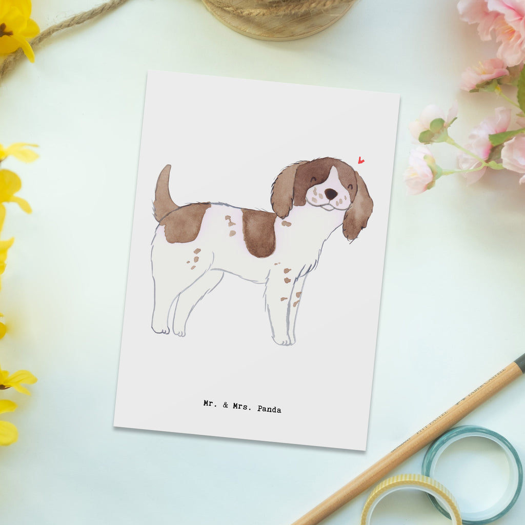 Postkarte English Springer Spaniel Lebensretter Postkarte, Karte, Geschenkkarte, Grußkarte, Einladung, Ansichtskarte, Geburtstagskarte, Einladungskarte, Dankeskarte, Ansichtskarten, Einladung Geburtstag, Einladungskarten Geburtstag, Hund, Hunderasse, Rassehund, Hundebesitzer, Geschenk, Tierfreund, Schenken, Welpe, English Springer Spaniel