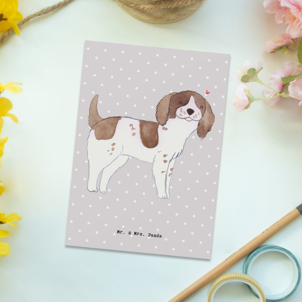 Postkarte English Springer Spaniel Lebensretter Postkarte, Karte, Geschenkkarte, Grußkarte, Einladung, Ansichtskarte, Geburtstagskarte, Einladungskarte, Dankeskarte, Ansichtskarten, Einladung Geburtstag, Einladungskarten Geburtstag, Hund, Hunderasse, Rassehund, Hundebesitzer, Geschenk, Tierfreund, Schenken, Welpe, English Springer Spaniel