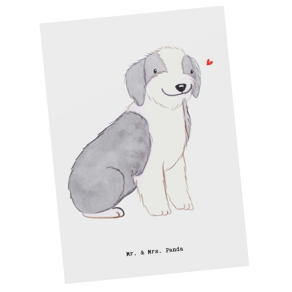 Postkarte Bearded Collie Lebensretter Postkarte, Karte, Geschenkkarte, Grußkarte, Einladung, Ansichtskarte, Geburtstagskarte, Einladungskarte, Dankeskarte, Ansichtskarten, Einladung Geburtstag, Einladungskarten Geburtstag, Hund, Hunderasse, Rassehund, Hundebesitzer, Geschenk, Tierfreund, Schenken, Welpe, Bearded Collie, britischer Hütehund