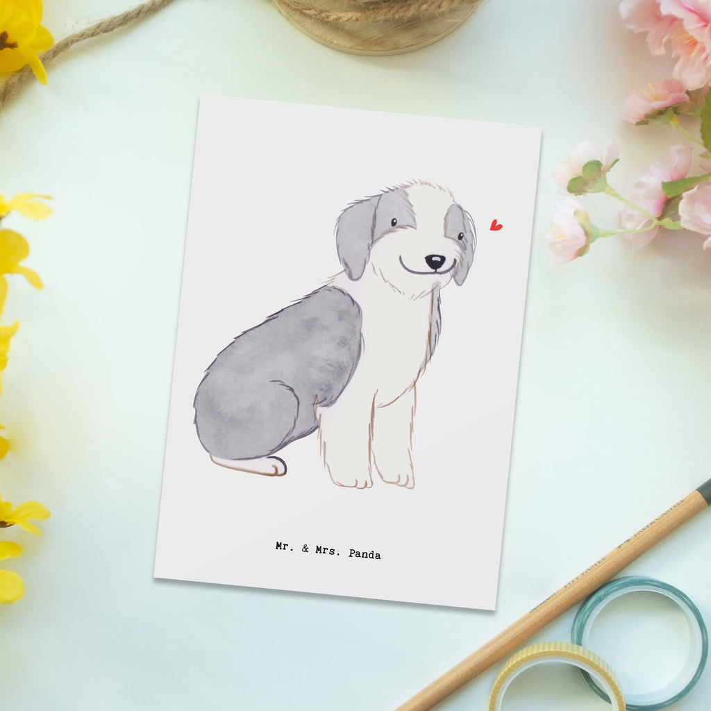 Postkarte Bearded Collie Lebensretter Postkarte, Karte, Geschenkkarte, Grußkarte, Einladung, Ansichtskarte, Geburtstagskarte, Einladungskarte, Dankeskarte, Ansichtskarten, Einladung Geburtstag, Einladungskarten Geburtstag, Hund, Hunderasse, Rassehund, Hundebesitzer, Geschenk, Tierfreund, Schenken, Welpe, Bearded Collie, britischer Hütehund