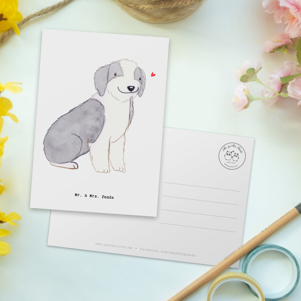 Postkarte Bearded Collie Lebensretter Postkarte, Karte, Geschenkkarte, Grußkarte, Einladung, Ansichtskarte, Geburtstagskarte, Einladungskarte, Dankeskarte, Ansichtskarten, Einladung Geburtstag, Einladungskarten Geburtstag, Hund, Hunderasse, Rassehund, Hundebesitzer, Geschenk, Tierfreund, Schenken, Welpe, Bearded Collie, britischer Hütehund