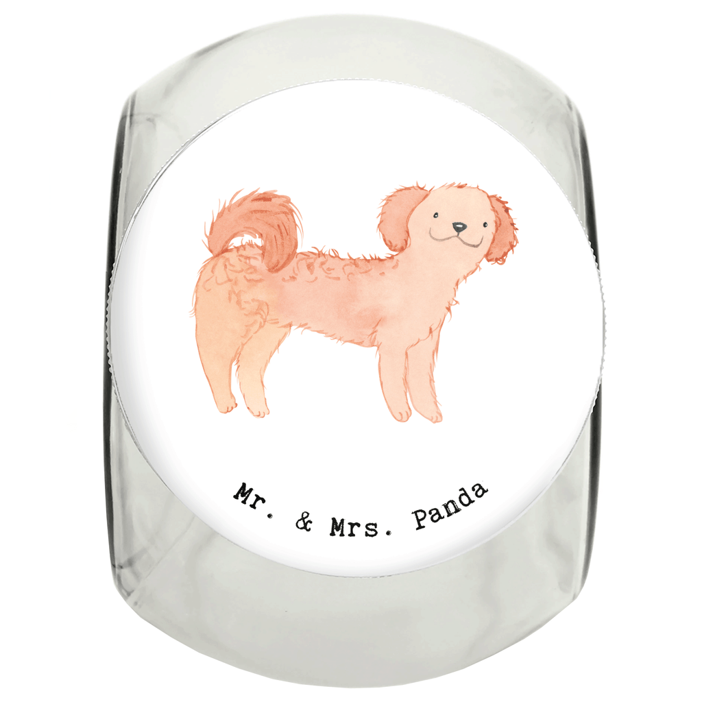 Leckerli Glas Cavapoo Moment Leckerli Glas, Leckerli Glas Hund, Leckerli Glas Katze, Leckerli Dose, Hundeleckerlies Behälter, Hund, Hunderasse, Rassehund, Hundebesitzer, Geschenk, Tierfreund, Schenken, Welpe, Cavapoo, Cavoodle