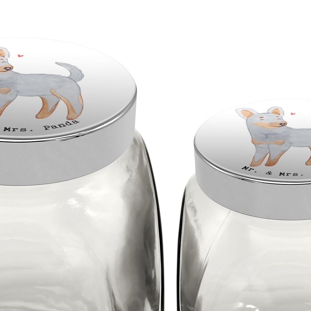 Leckerli Glas Prager Rattler Moment Leckerli Glas, Leckerli Glas Hund, Leckerli Glas Katze, Leckerli Dose, Hundeleckerlies Behälter, Hund, Hunderasse, Rassehund, Hundebesitzer, Geschenk, Tierfreund, Schenken, Welpe, Pincher, Prager Rattler