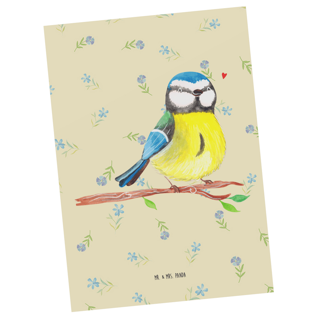 Postkarte Vogel Blaumeise Postkarte, Karte, Geschenkkarte, Grußkarte, Einladung, Ansichtskarte, Geburtstagskarte, Einladungskarte, Dankeskarte, Ansichtskarten, Einladung Geburtstag, Einladungskarten Geburtstag, Ostern, Osterhase, Ostergeschenke, Osternest, Osterdeko, Geschenke zu Ostern, Ostern Geschenk, Ostergeschenke Kinder, Ostern Kinder, Ostergrüße, Blaumeise, Vogel, liebe Grüße, Frühling, Frühlingsgefühle, Osterzeit