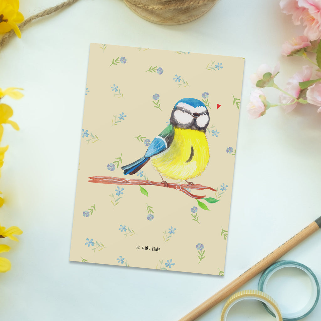 Postkarte Vogel Blaumeise Postkarte, Karte, Geschenkkarte, Grußkarte, Einladung, Ansichtskarte, Geburtstagskarte, Einladungskarte, Dankeskarte, Ansichtskarten, Einladung Geburtstag, Einladungskarten Geburtstag, Ostern, Osterhase, Ostergeschenke, Osternest, Osterdeko, Geschenke zu Ostern, Ostern Geschenk, Ostergeschenke Kinder, Ostern Kinder, Ostergrüße, Blaumeise, Vogel, liebe Grüße, Frühling, Frühlingsgefühle, Osterzeit