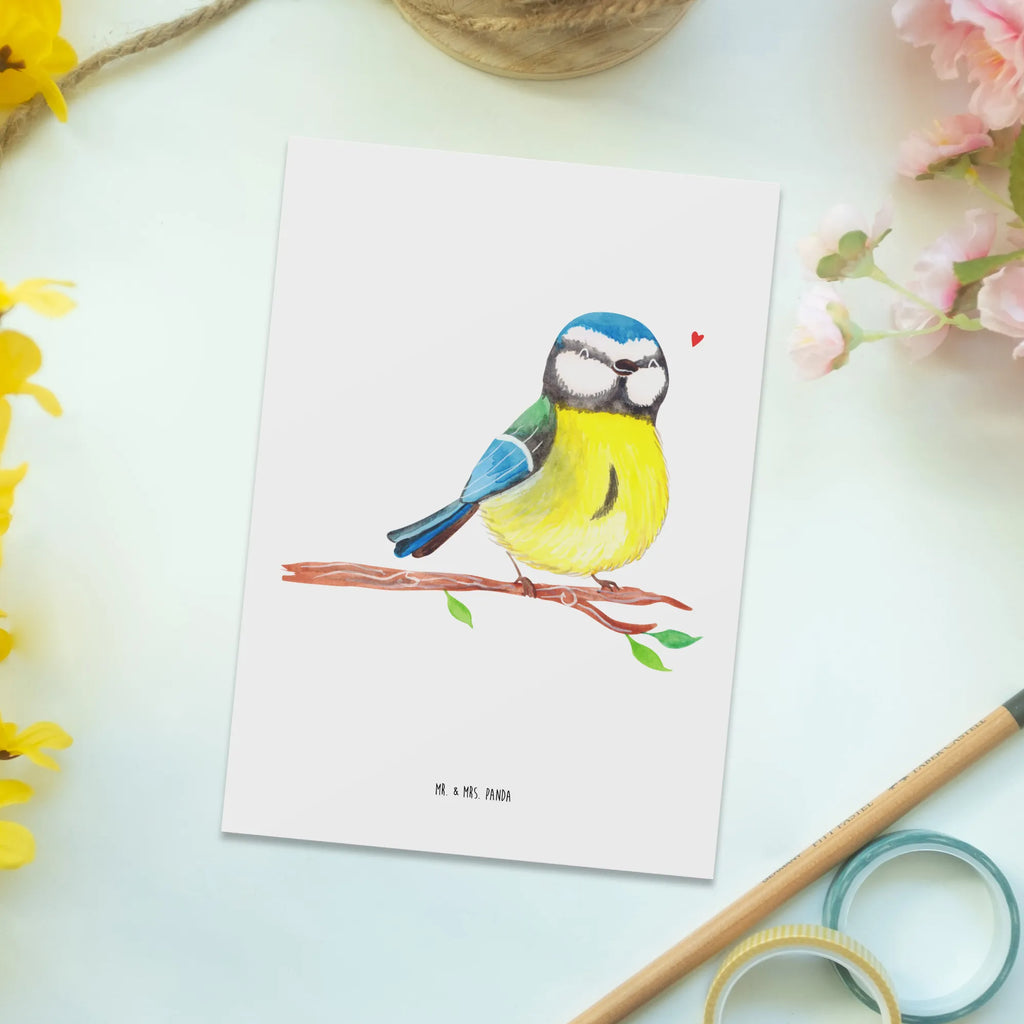 Postkarte Vogel Blaumeise Postkarte, Karte, Geschenkkarte, Grußkarte, Einladung, Ansichtskarte, Geburtstagskarte, Einladungskarte, Dankeskarte, Ansichtskarten, Einladung Geburtstag, Einladungskarten Geburtstag, Ostern, Osterhase, Ostergeschenke, Osternest, Osterdeko, Geschenke zu Ostern, Ostern Geschenk, Ostergeschenke Kinder, Ostern Kinder, Ostergrüße, Blaumeise, Vogel, liebe Grüße, Frühling, Frühlingsgefühle, Osterzeit