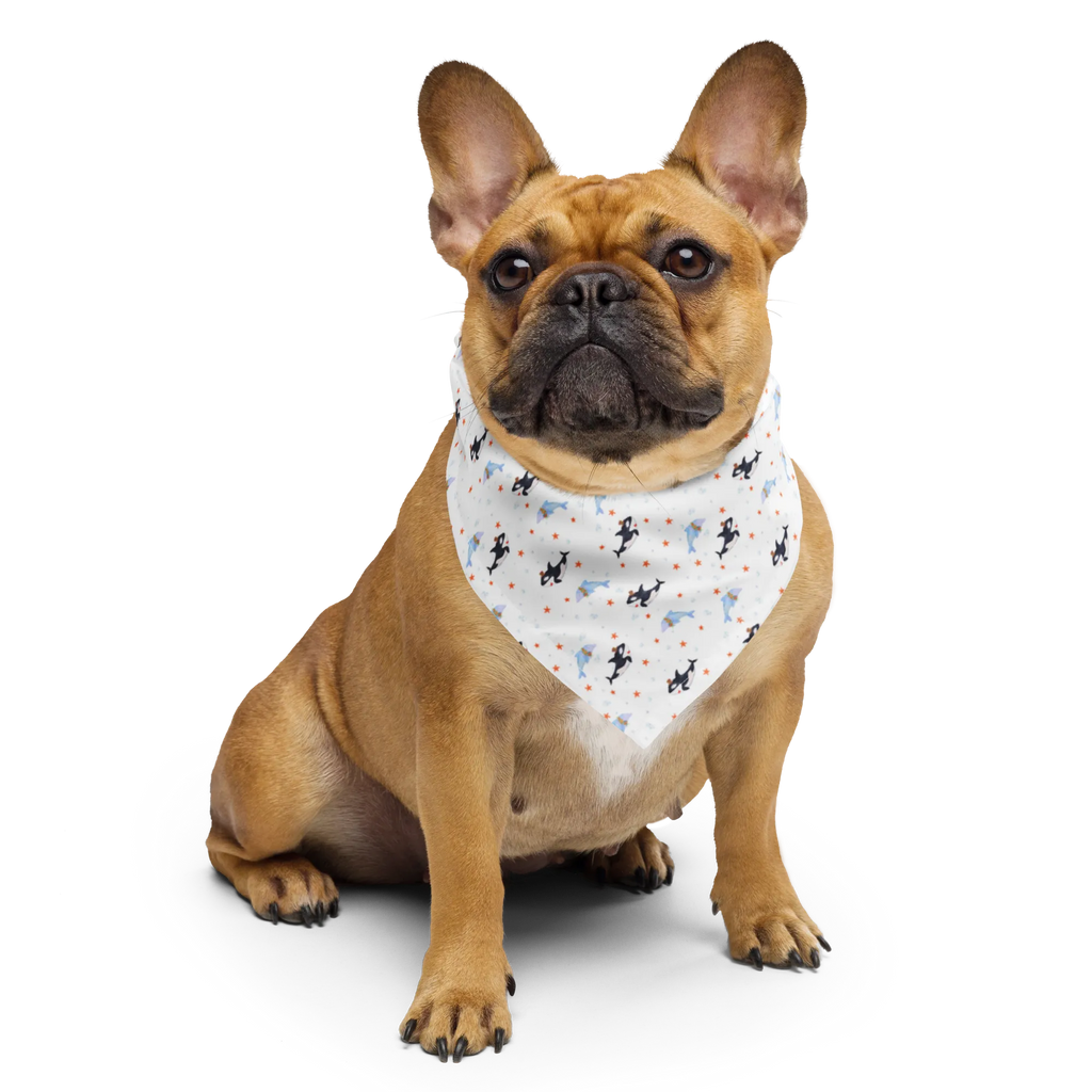 Bandana Orca Zylinder Muster Bandana, Kopftuch, Halstuch, Multifunktionstuch, Design Bandana, Bandana Tuch, Sportbandana, Sport Bandana, Bandana kaufen, Meerestiere, Meer, Urlaub, Narwal, Glitter, Konfetti, Glitzer, Geburtstag, Feier, Fete, Fest, Glückwunsch, Orca