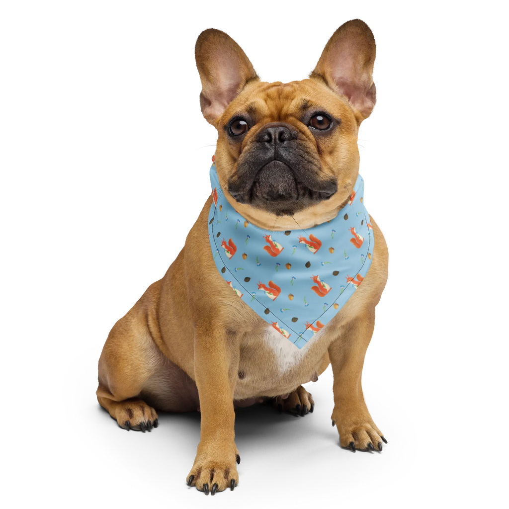 Bandana Eichhörnchen Blume Muster Bandana, Kopftuch, Halstuch, Multifunktionstuch, Design Bandana, Bandana Tuch, Sportbandana, Sport Bandana, Bandana kaufen, Tiermotive, Gute Laune, lustige Sprüche, Tiere, Eichhörnchen, Eichhorn, Spruch positiv, Lachen, Spaß, Motivation Sprüche, Motivation Bilder, glücklich Spruch, Spruch Deko