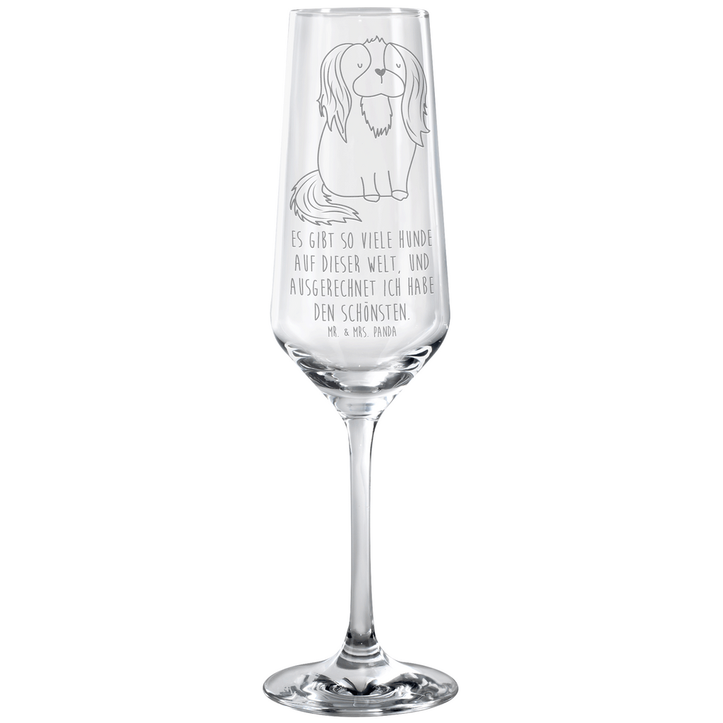 Sektglas Cavalier King Charles Spaniel Sektglas, Sektglas mit Gravur, Spülmaschinenfeste Sektgläser, Hund, Hundemotiv, Haustier, Hunderasse, Tierliebhaber, Hundebesitzer, Sprüche, Cavalier King Charles Spaniel, Cockerspaniel, Spaniel, Spruch, schönster Hund