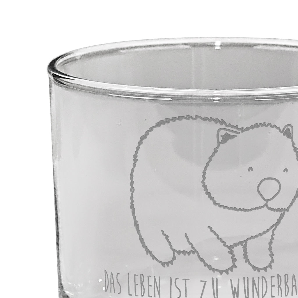 Whiskey Glas Wombat Whiskeylgas, Whiskey Glas, Whiskey Glas mit Gravur, Whiskeyglas mit Spruch, Whiskey Glas mit Sprüchen, Whiskygläser, Whisky Gläser, Whiskey Tumbler, Whiskyglas mit Gravur, Gravur Whiskyglas, Edle Whiskygläser, Tiermotive, Gute Laune, lustige Sprüche, Tiere, Wombat, Das Leben ist schön, Motivation, Spruch, Australien