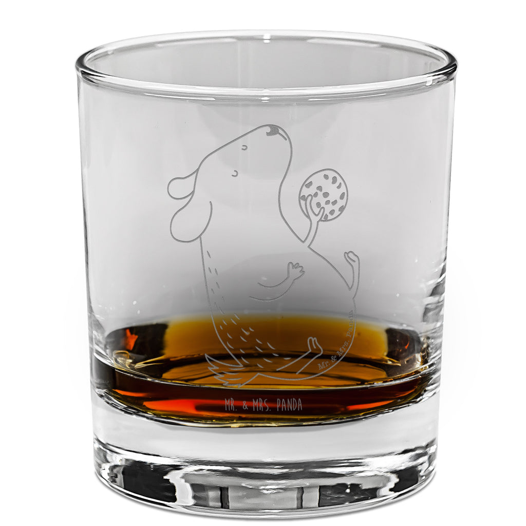 Whiskey Glas Hund Keks Whiskeylgas, Whiskey Glas, Whiskey Glas mit Gravur, Whiskeyglas mit Spruch, Whiskey Glas mit Sprüchen, Whiskygläser, Whisky Gläser, Whiskey Tumbler, Whiskyglas mit Gravur, Gravur Whiskyglas, Edle Whiskygläser, Hund, Hundemotiv, Haustier, Hunderasse, Tierliebhaber, Hundebesitzer, Sprüche, Hundekekse, Leckerli, Hundeleckerli, Hundesnacks