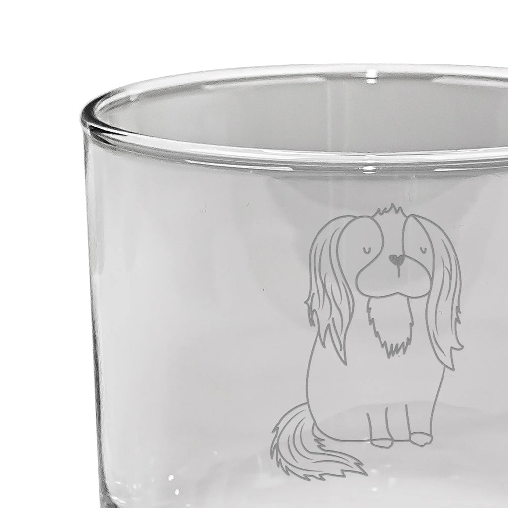 Personalisiertes Whiskey Glas Cavalier King Charles Spaniel Whiskeylgas, Whiskey Glas, Whiskey Glas mit Gravur, Whiskeyglas mit Spruch, Whiskey Glas mit Sprüchen, Hund, Hundemotiv, Haustier, Hunderasse, Tierliebhaber, Hundebesitzer, Sprüche, Cavalier King Charles Spaniel, Cockerspaniel, Spaniel, Spruch, schönster Hund