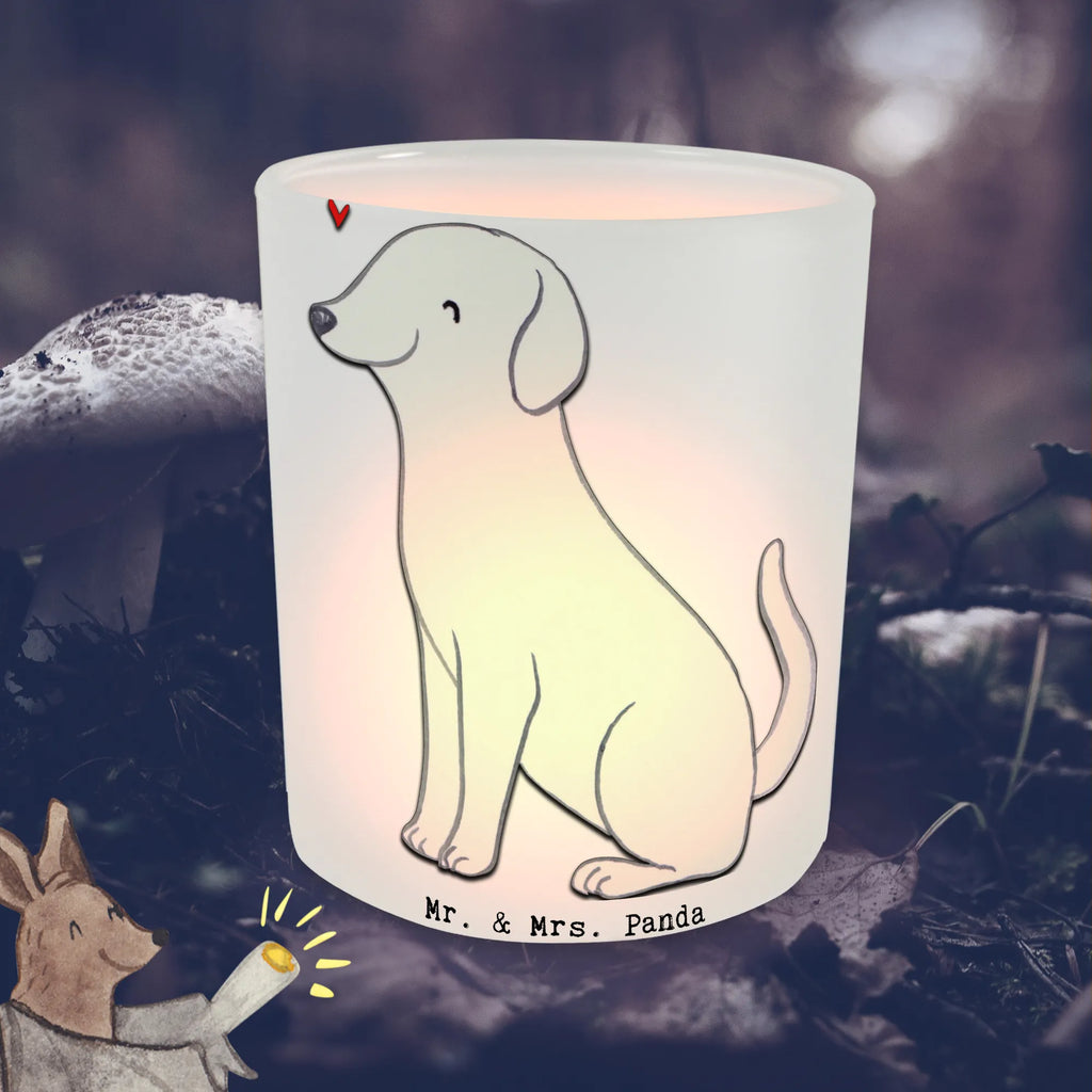 Windlicht Labrador Lebensretter Windlicht Glas, Teelichtglas, Teelichthalter, Teelichter, Kerzenglas, Windlicht Kerze, Kerzenlicht, Glas Windlicht, Windlicht Zur Hochzeit, Windlicht Deko, Windlicht Hochzeit, Teelichtgläser, Windlicht Dekorieren, Hund, Hunderasse, Rassehund, Hundebesitzer, Geschenk, Tierfreund, Schenken, Welpe, Labrador