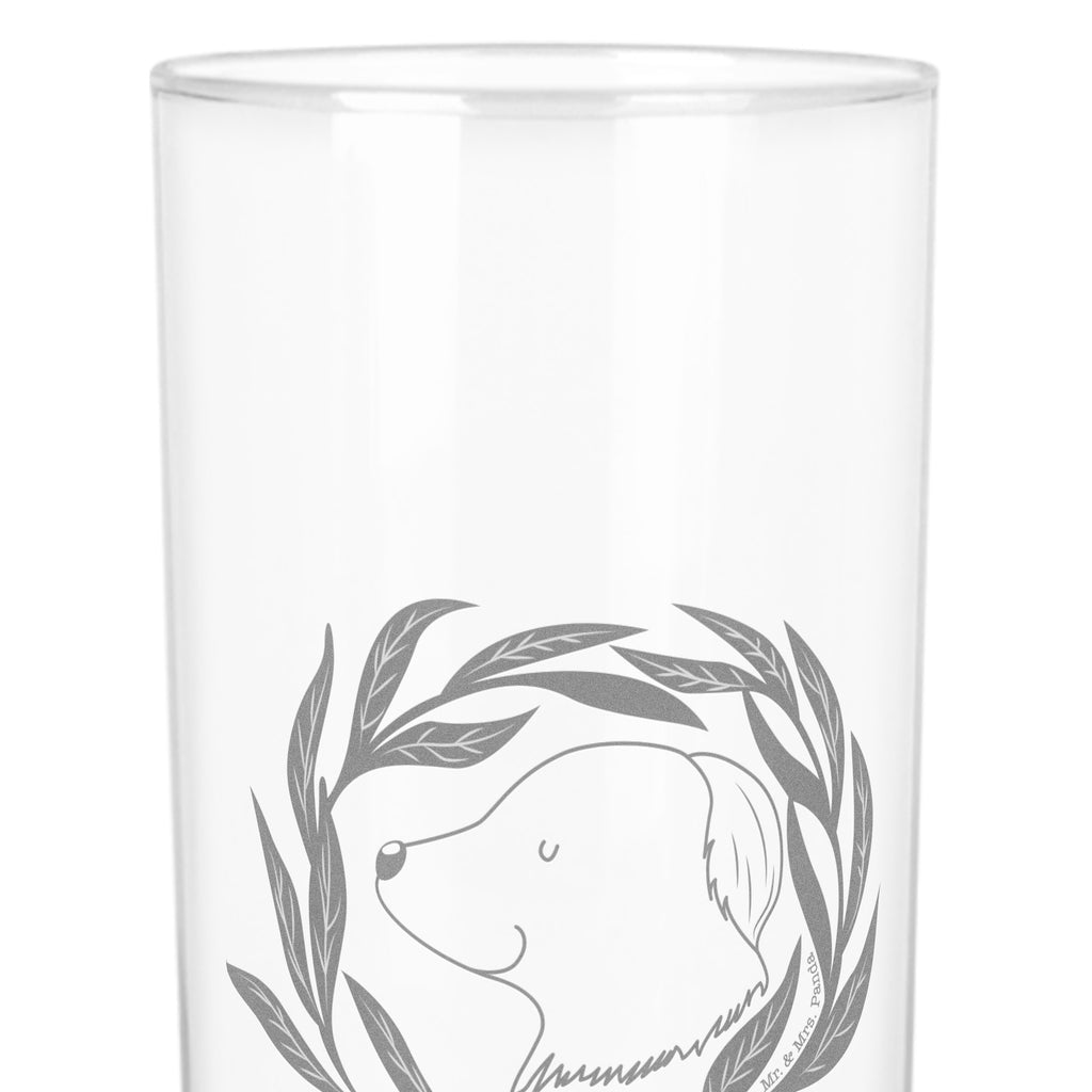 Wasserglas Hund Ranke Wasserglas, Glas, Trinkglas, Wasserglas mit Gravur, Glas mit Gravur, Trinkglas mit Gravur, Hund, Hundemotiv, Haustier, Hunderasse, Tierliebhaber, Hundebesitzer, Sprüche, Ranke, Therapie, Selbsttherapie, Hundeliebe, Hundeglück, Hunde