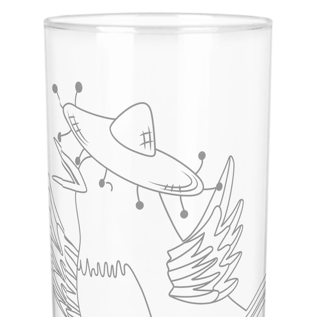 Wasserglas Rabe mit Sombrero Wasserglas, Glas, Trinkglas, Wasserglas mit Gravur, Glas mit Gravur, Trinkglas mit Gravur, Tiermotive, Gute Laune, lustige Sprüche, Tiere, Rabe, Vogel, Vögel, Spruch positiv, fröhlich sein, glücklich sein, Glück Spruch, froh, Elster, Motivation