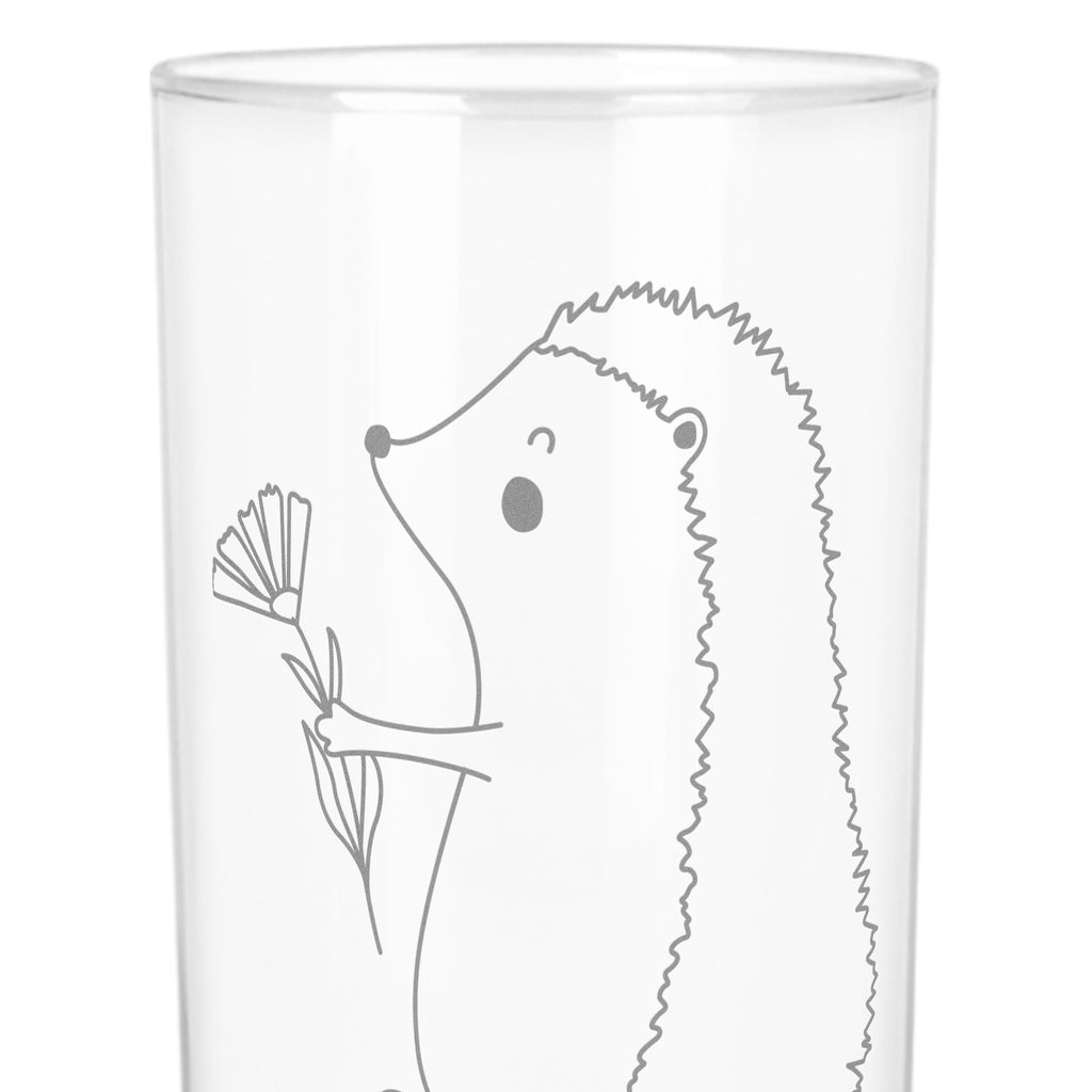 Wasserglas Igel mit Blume Wasserglas, Glas, Trinkglas, Wasserglas mit Gravur, Glas mit Gravur, Trinkglas mit Gravur, Tiermotive, Gute Laune, lustige Sprüche, Tiere, Igel, Gute Besserung, Genesungswünsche, Krankheit, Krankenhaus, krank, Besuch